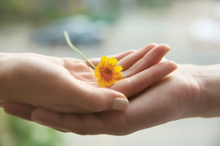 Stewardship Well Done Journey: Giving