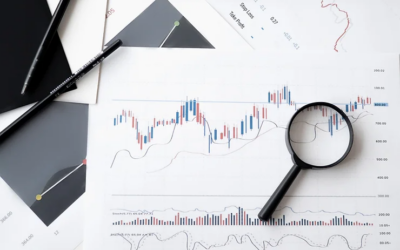 Investment Process